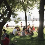 people sitting on green grass field near green trees during daytime